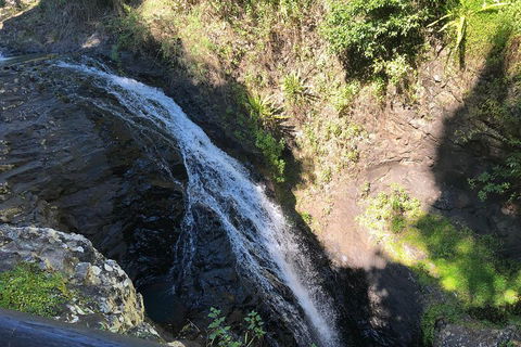 Waterfall Tour - Gold Coast Attractions 1