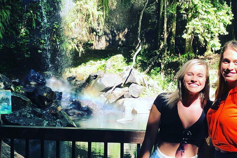Waterfall Tour - Gold Coast Attractions 3