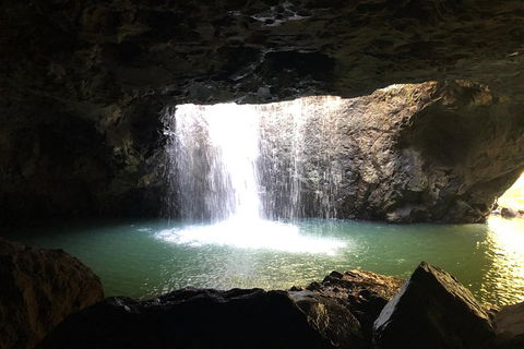 Waterfall Tour - Gold Coast Attractions 5