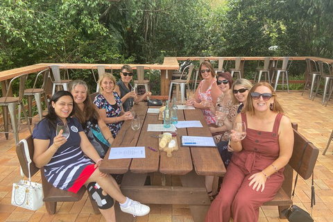 Mt Tamborine ScenicRim Deluxe Wine Tasting And Sightseeeing Tour - Gold Coast Attractions 2
