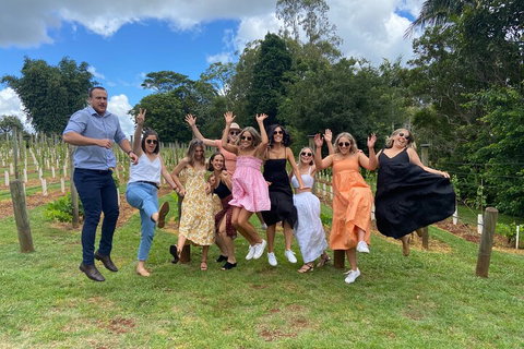 Mt Tamborine ScenicRim Deluxe Wine Tasting And Sightseeeing Tour - Gold Coast Attractions 4