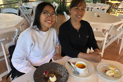 Natural Bridge, Skywalk And Mt Tamborine Adventure! - Gold Coast Attractions 5