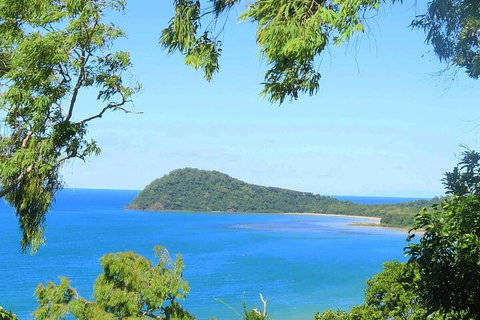 Full Day Tour In The Daintree - Gold Coast Attractions 1