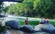 Full Day Tour In The Daintree - thumb 3