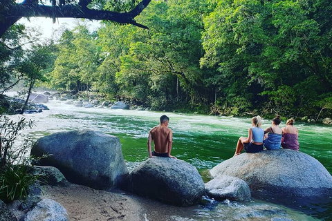 Full Day Tour In The Daintree - Gold Coast Attractions 3