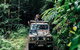 Full Day Tour In The Daintree - thumb 4