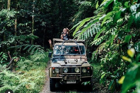 Full Day Tour In The Daintree - Gold Coast Attractions 4