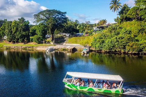 Afternoon Half-Day Daintree Rainforest And River Tour - Gold Coast Attractions 1