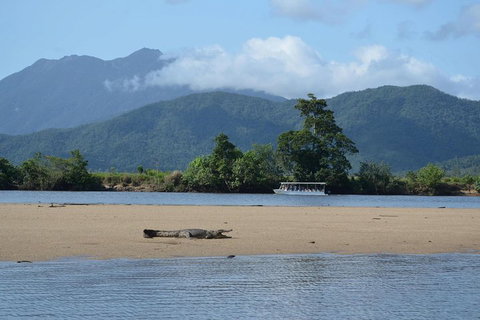 Afternoon Half-Day Daintree Rainforest And River Tour - Gold Coast Attractions 2