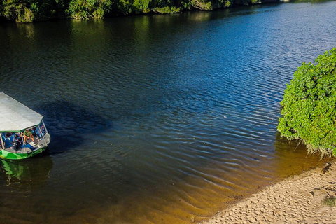 Afternoon Half-Day Daintree Rainforest And River Tour - Gold Coast Attractions 3