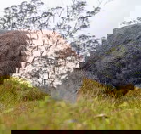 3-Day Cradle Mountain Photography Workshop