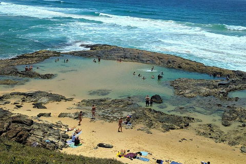 Pippies 3 Days 2 Nights Fraser Island Tour - Gold Coast Attractions 5