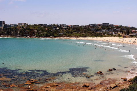 Half Day Manly Beach And More - Gold Coast Attractions 2