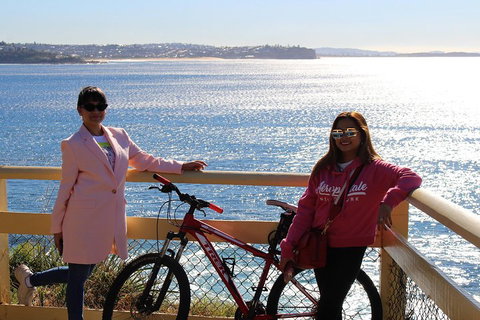 Half Day Manly Beach And More - Gold Coast Attractions 4