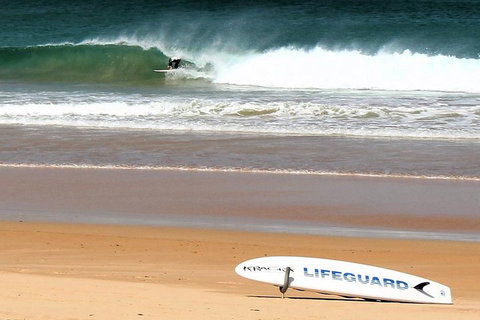 Half Day Manly Beach And More - Gold Coast Attractions 5