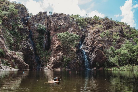 Litchfield National Park Day Tour From Darwin With Waterfalls And Buley Rockhole - Gold Coast Attractions 1