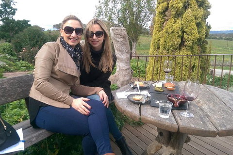 McLaren Vale Intimate Winery Tour By Private Limo - Gold Coast Attractions 4