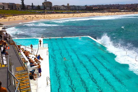 Private Sydney Half Day Tour Including Sydney Opera House And Bondi Beach - Gold Coast Attractions 1