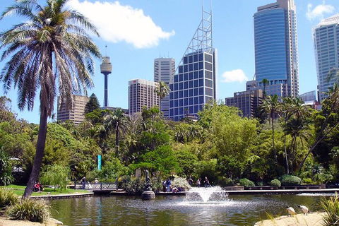 Private Sydney Half Day Tour Including Sydney Opera House And Bondi Beach - Gold Coast Attractions 4