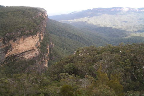Full-Day Private Blue Mountains Tour With River Cruise - Gold Coast Attractions 3