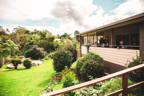 Full-day Springbrook National Park Tour From The Gold Coast - Gold Coast Attractions 2