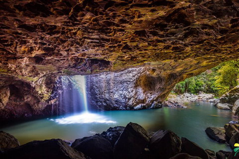 Full-day Springbrook National Park Tour From The Gold Coast - Gold Coast Attractions 3
