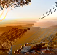 O'Reilly's  Lamington National Park incl. Alpaca Farm  Vineyard - Gold Coast Attractions