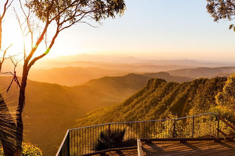 O'Reilly's & Lamington National Park Incl. Alpaca Farm + Vineyard - Gold Coast Attractions 0