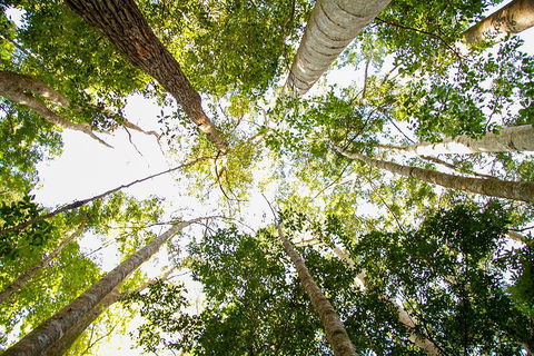 Fraser Island 4WD Tour From Noosa - Gold Coast Attractions 0