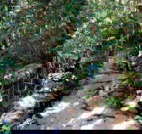 Fraser Island 4WD Tour from Rainbow Beach - Gold Coast Attractions