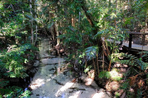 Fraser Island 4WD Tour From Rainbow Beach - Gold Coast Attractions 0