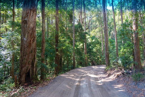 Fraser Island 4WD Tour From Rainbow Beach - Gold Coast Attractions 4