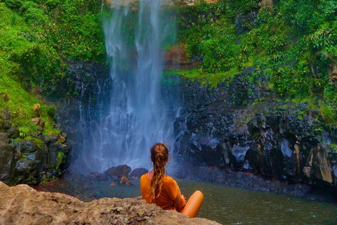Rainforest & Waterfalls Extravaganza - Gold Coast Attractions 2