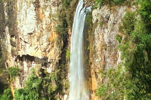 Natural Arch, Rainforest & Volcano Canyon - Private Half Day Tour - Gold Coast Attractions 2