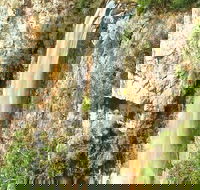 Private Tour - Rainforest  Waterfalls Extravaganza - Gold Coast Attractions