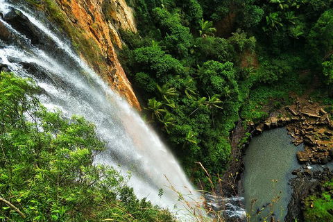 Private Tour - Rainforest & Waterfalls Extravaganza - Gold Coast Attractions 2