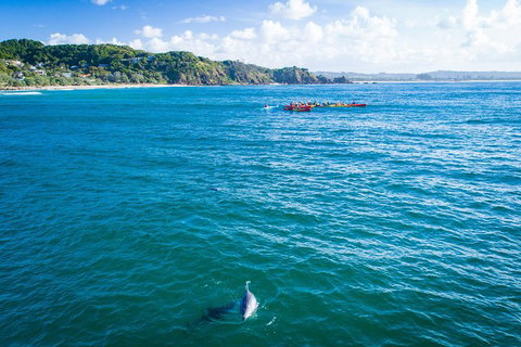 The Byron Bay Sea Kayak Tour - Gold Coast Attractions 2