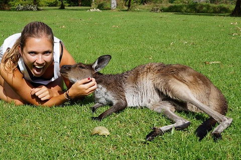 7-Day Tour In Sydney With Airport Pickup - Gold Coast Attractions 4