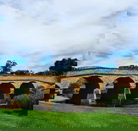 Tasmania 6 Day 'Tour in Circle'