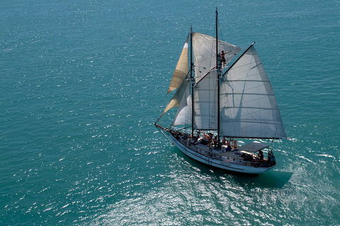 Whitehaven Beach Sailing And Snorkeling Cruise - Gold Coast Attractions 1