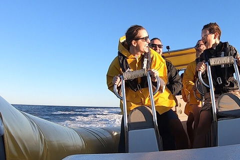Noosa Oceanrider - Adventure Tour - Gold Coast Attractions 0