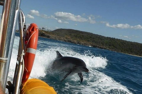 Noosa Oceanrider - Adventure Tour - Gold Coast Attractions 1