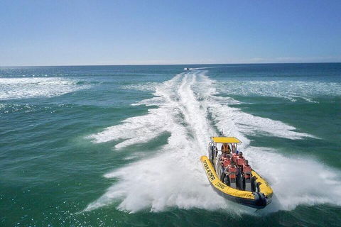 Noosa Oceanrider - Adventure Tour - Gold Coast Attractions 2