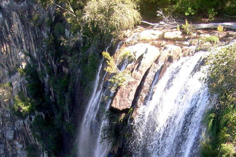 Byron Bay Combo: Hinterland Tour Including Minyon Falls And Kayaking With Dolphins - Gold Coast Attractions 3