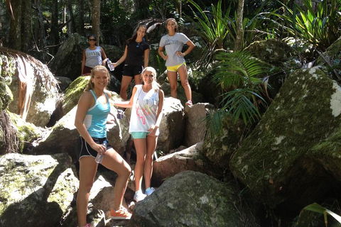 Byron Bay Combo: Hinterland Tour Including Minyon Falls And Kayaking With Dolphins - Gold Coast Attractions 4
