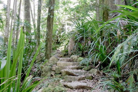 Byron Bay Combo: Hinterland Tour Including Minyon Falls And Kayaking With Dolphins - Gold Coast Attractions 5