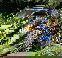 Adelaide 90-Minute Pedicab Tour Scenic Green  River Experience - Gold Coast Attractions