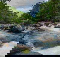 Cape Tribulation Day Tour - Gold Coast Attractions