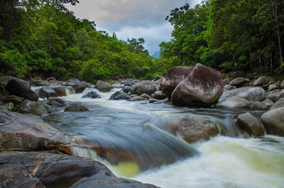 Cape Tribulation Day Tour