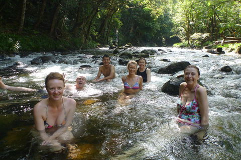Daintree Rainforest, Cape Tribulation, Mossman Gorge Small-Group Day Tour - Gold Coast Attractions 0